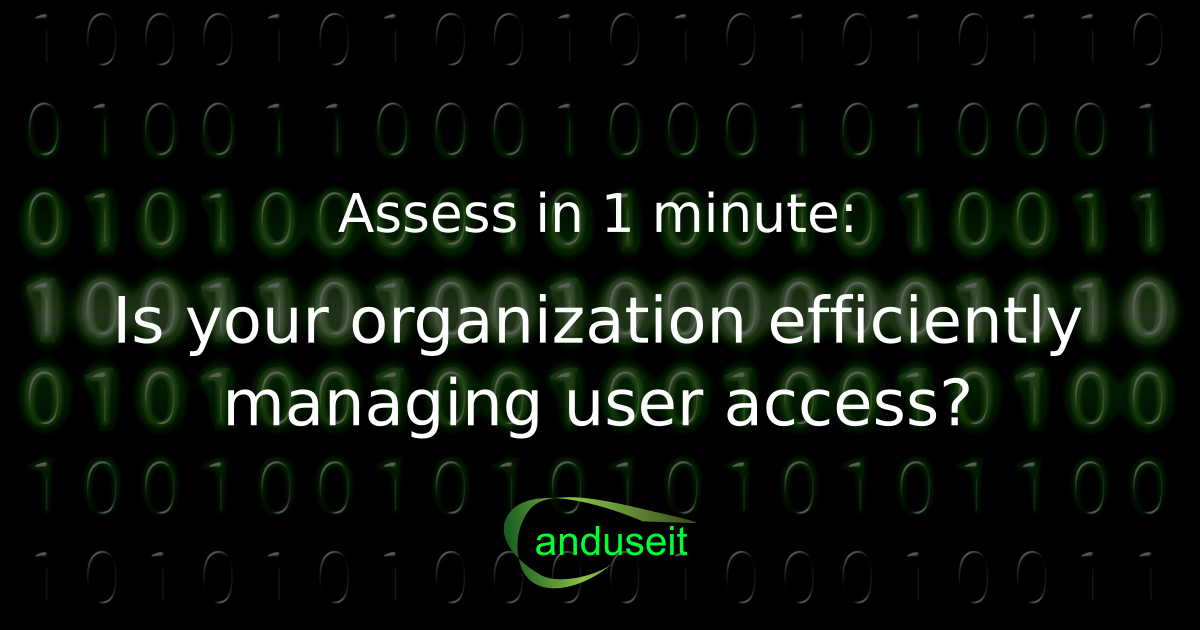 Is your organization efficiently managing user access? Anduseit